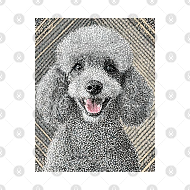 Dog Portrait - Poodle by Dec69 Studio