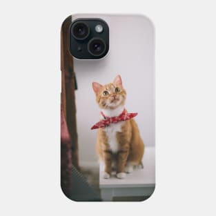 Cat Designs Phone Case