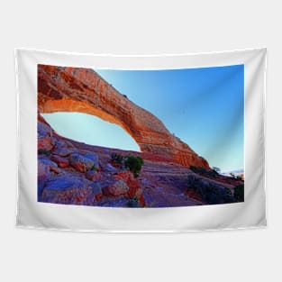 Wilson Arch Tapestry