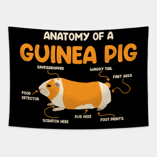 Anatomy of a Guinea Pig Tapestry