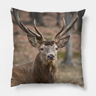 Elk Pillow