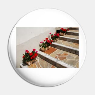 Geraniums on Stepped Street Pin