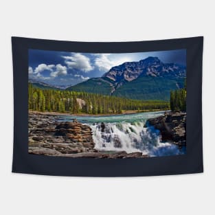 Canada. Jasper National Park. Athabasca Falls. Tapestry