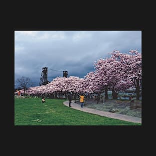 Springtime Cherry Blossoms in Portland Oregon T-Shirt