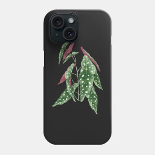 Begonia maculata plant | Polka dot plant Phone Case