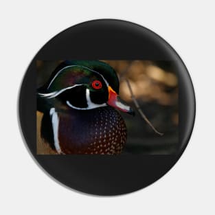 Wood Duck - Male Close Up Pin