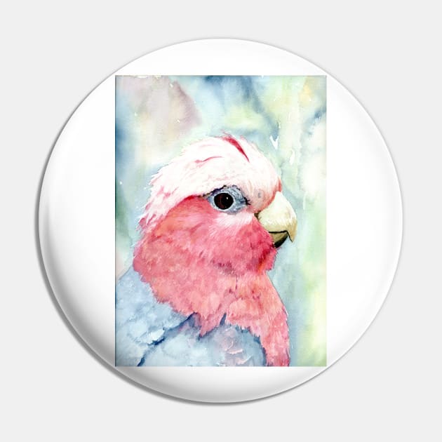 Australian Galah Cockatoo Watercolour Painting Pin by Heatherian