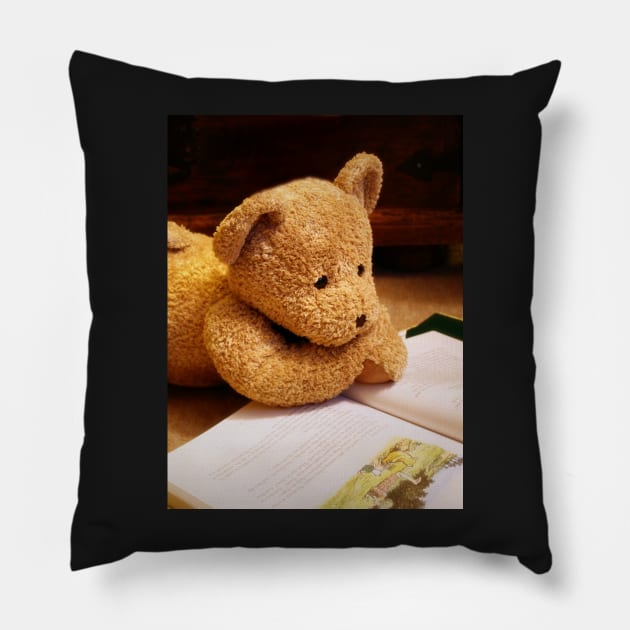 Bedtime Story Pillow by gracethescene