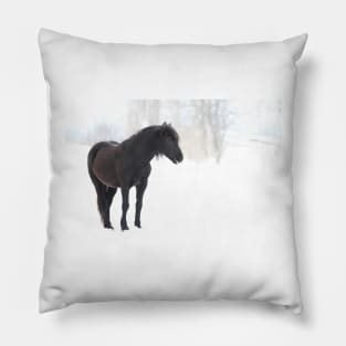 Sleep, perchance to Dream - Horse Pillow