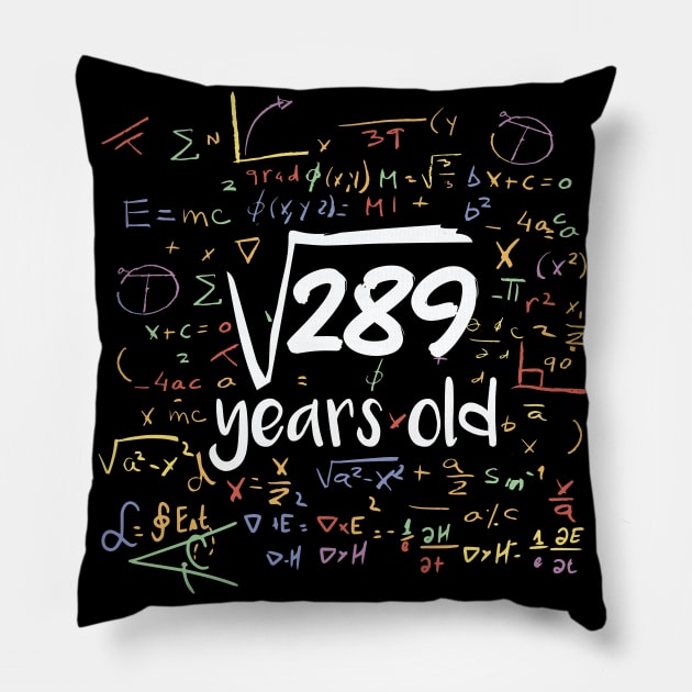 Square Root of 289 Years Old // Funny Math Birthday // 17 Years Old Pillow by SLAG_Creative