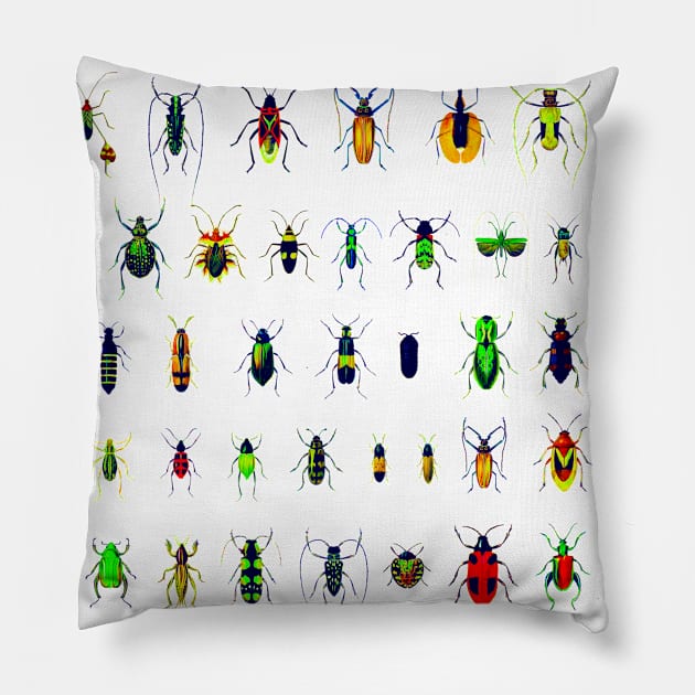 Bugs and Beetles Pillow by SandraKC