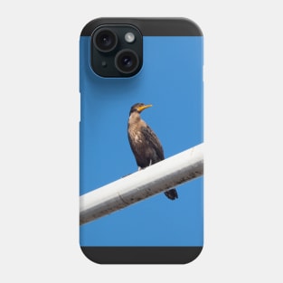 Double-crested Cormorant Perching On a Light Pole Phone Case