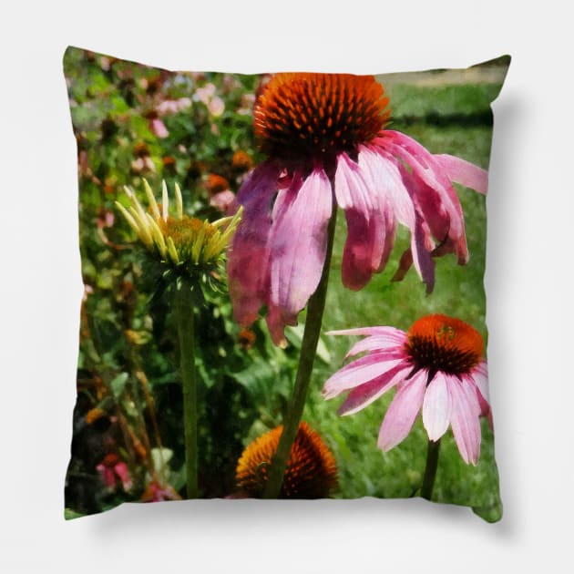 Coneflower in Garden Pillow by SusanSavad