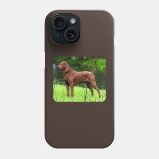 REDBONE COONHOUND DOG Phone Case