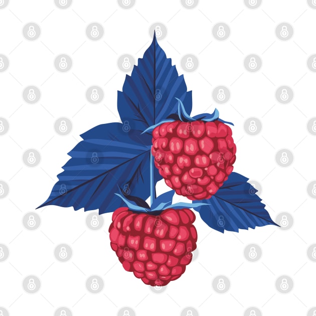 Raspberry illustration by lents