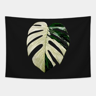 MONSTERA MINT VARIEGATED Tapestry