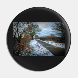 Winter Walk Pin