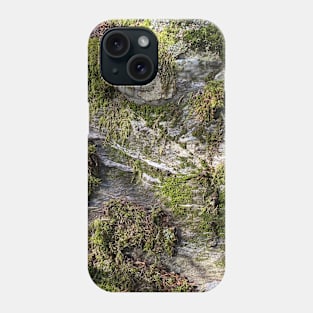 Green Stone Moss Nature Forest Phone Case