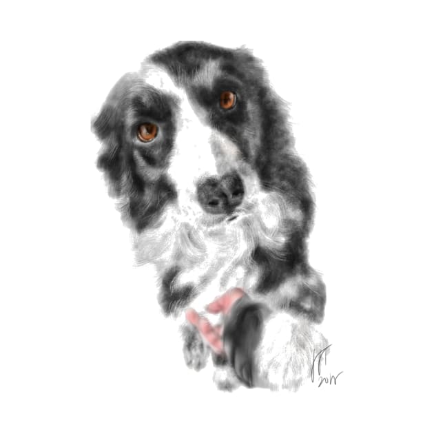 I Want Your Paw Border Collie by LITDigitalArt