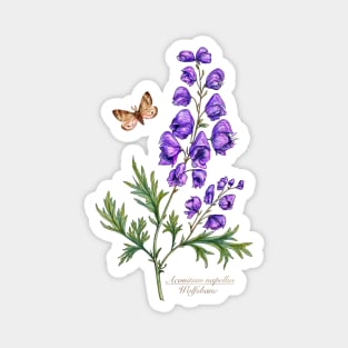 Monkshood garden flowers Magnet