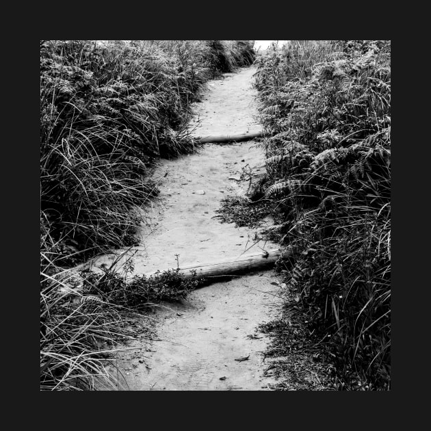 Dirt path between the tall grass by Bubsart78