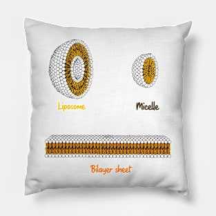 Phospholipids arrangement. Liposome Micelle soap phospholipid bilayer sheet Pillow