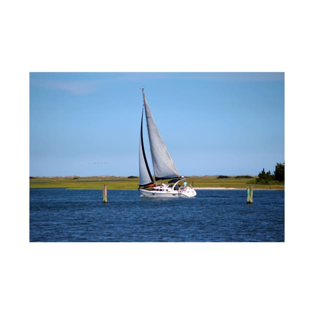 Sailing At Masonboro Island by Cynthia48
