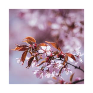 Cherry blossom tree T-Shirt