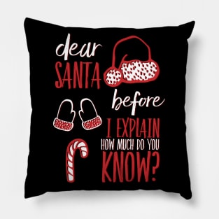 Dear Santa before I explain how much do you know Pillow