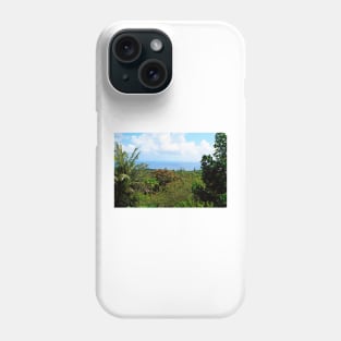 Road to Hana Study 07 Phone Case