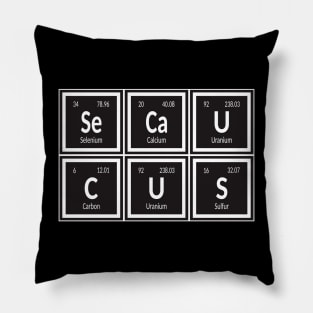 Secaucus Pillow