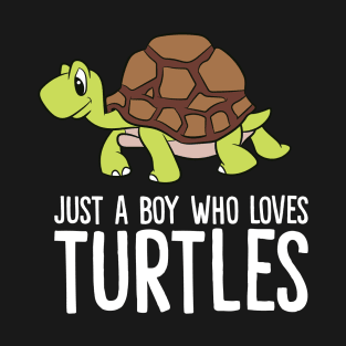 Just a Boy Who Loves Turtles Funny Turtle T-Shirt