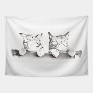 Kitty Cats Tapestry