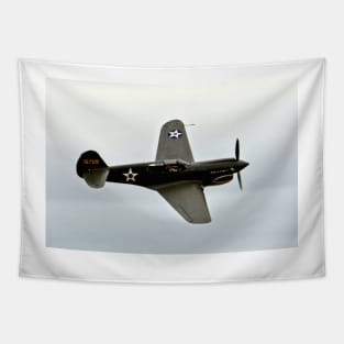 Flying Tiger Airplane P-40 Warhawk Tapestry