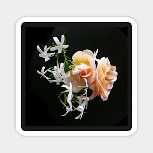 Roses Magnet