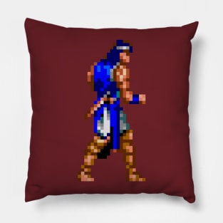 Richter Pillow