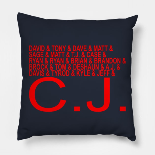 Texans Quarterbacks with CJ Stroud Pillow by Retro Sports