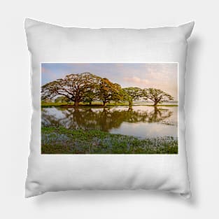 Shady tropical trees by the lake, Sri Lanka Pillow