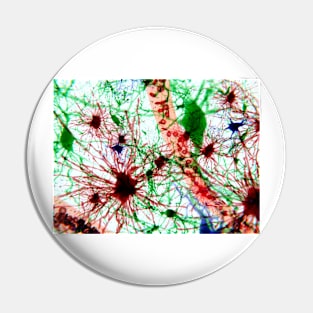 Brain cells, illustration (F013/1488) Pin