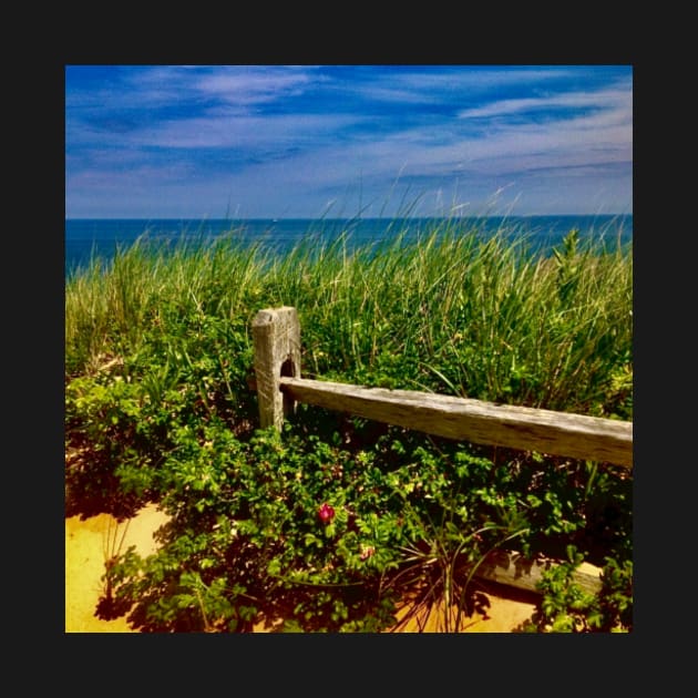 Magnificent Marconi beach, Cape Cod, MA. by Dillyzip1202