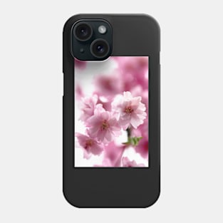 Double weeping cherry blossoms Phone Case