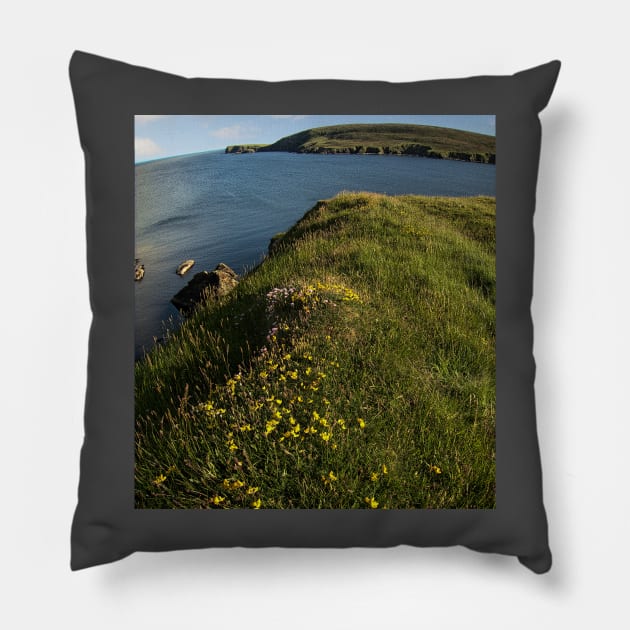 Fetlar, Shetland Islands Pillow by Avalinart