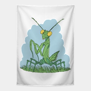 Praying Mantis Funny Insect Lover Tapestry