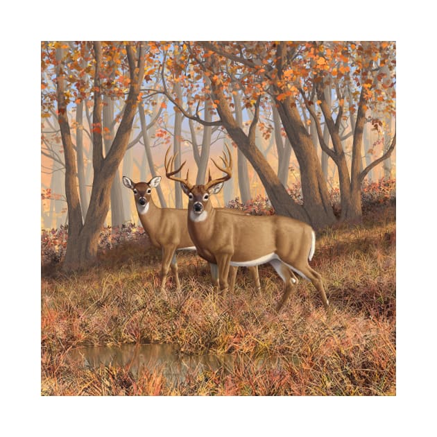 Whitetail Deer Buck and Doe in Autumn Woods by csforest