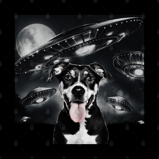 Selfie of Funny Dog And Aliens UFO  3 by Megadorim