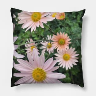 Daisies Pillow