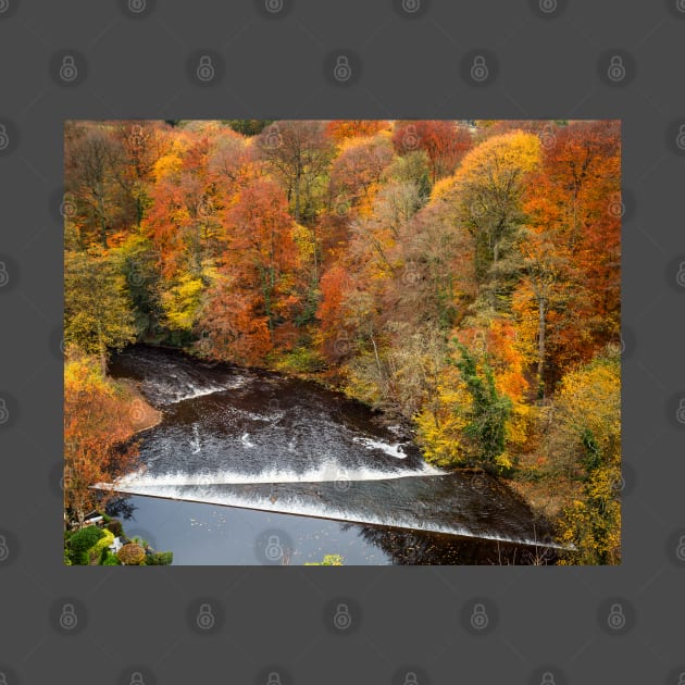 Autumn Weir by GeoffCarpenter