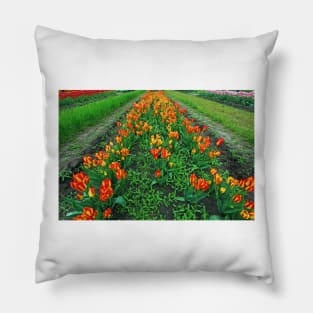 Orange Tulips Pillow