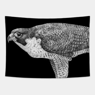 Peregrine Falcon Tapestry