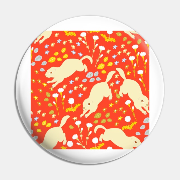 Spermophilus Pin by cutequokka